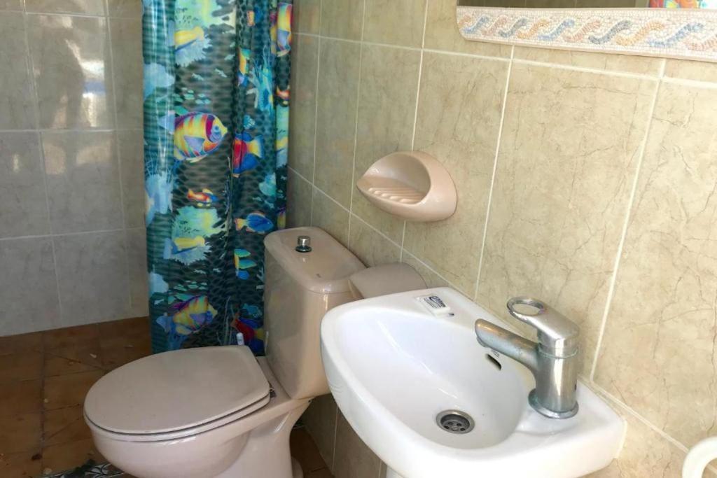 Villa Philip Piscina Privada Miami Playa Eksteriør bilde